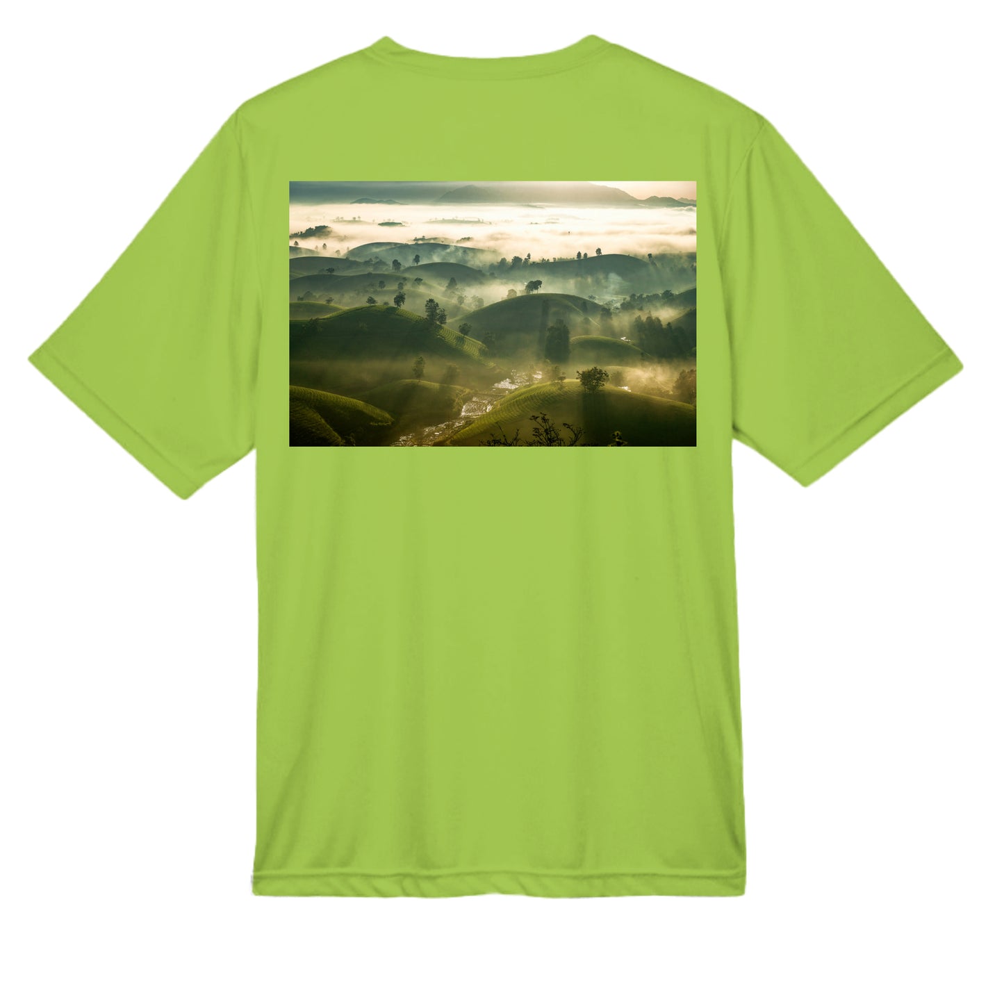 ACID GREEN - TT11 - BACK