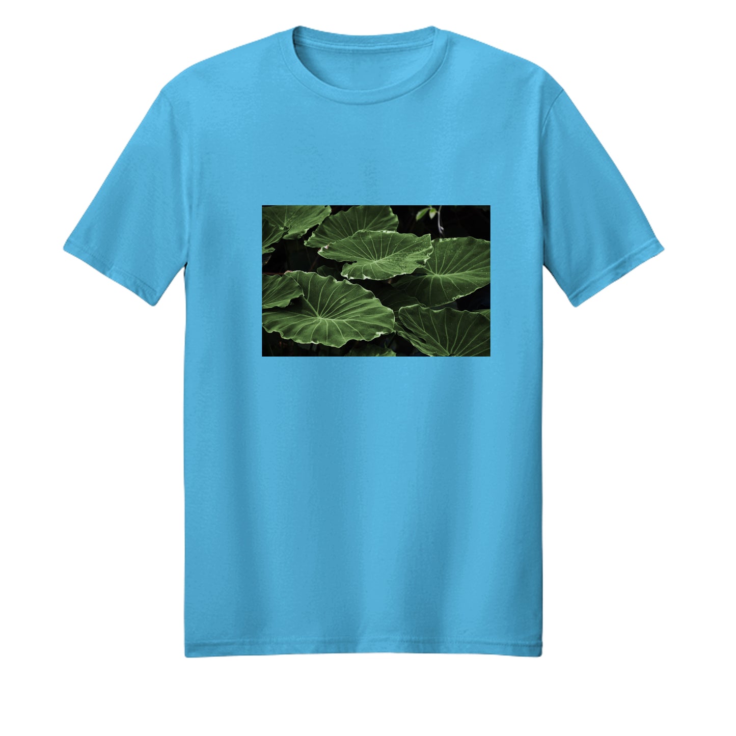 Aquatic Blue - PC54 - FRONT