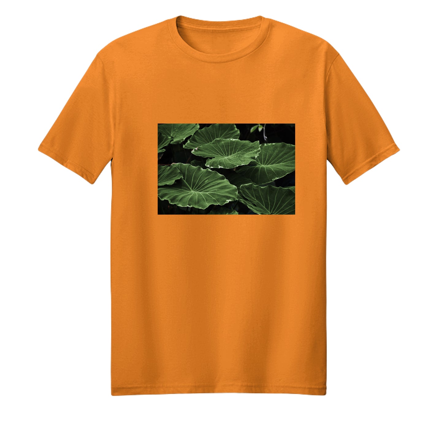 Safety Orange - PC54 - FRONT