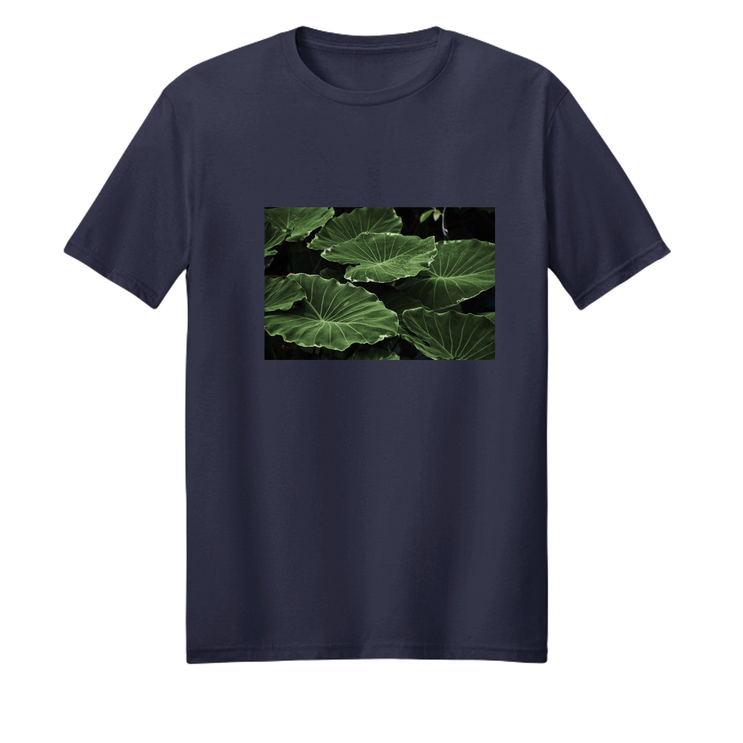 True Navy - PC54 - FRONT