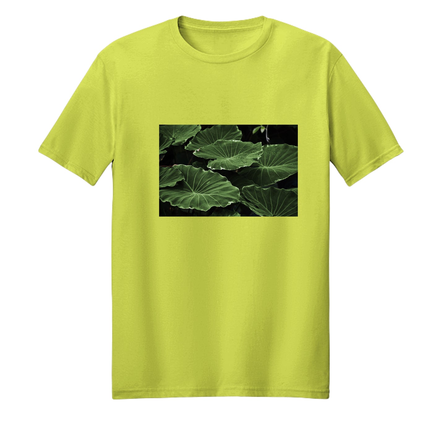Neon Yellow - PC54 - FRONT