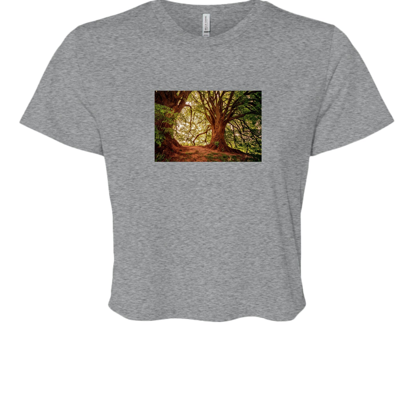 Athletic Heather - B8882 - FRONT